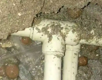 红星测漏水多少钱