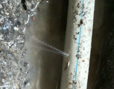 红星测漏水哪家好