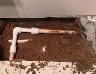 红星测漏水哪家好