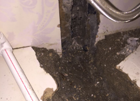 红星卫生间测漏水哪家好