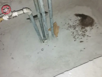 红星卫生间测漏水价格明细