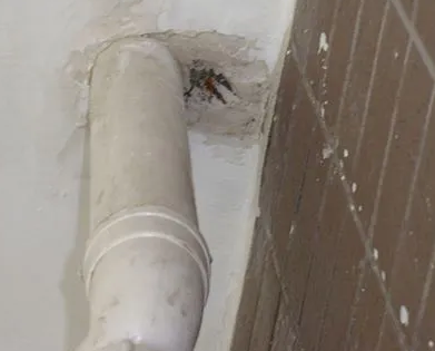 红星漏水检测哪家好